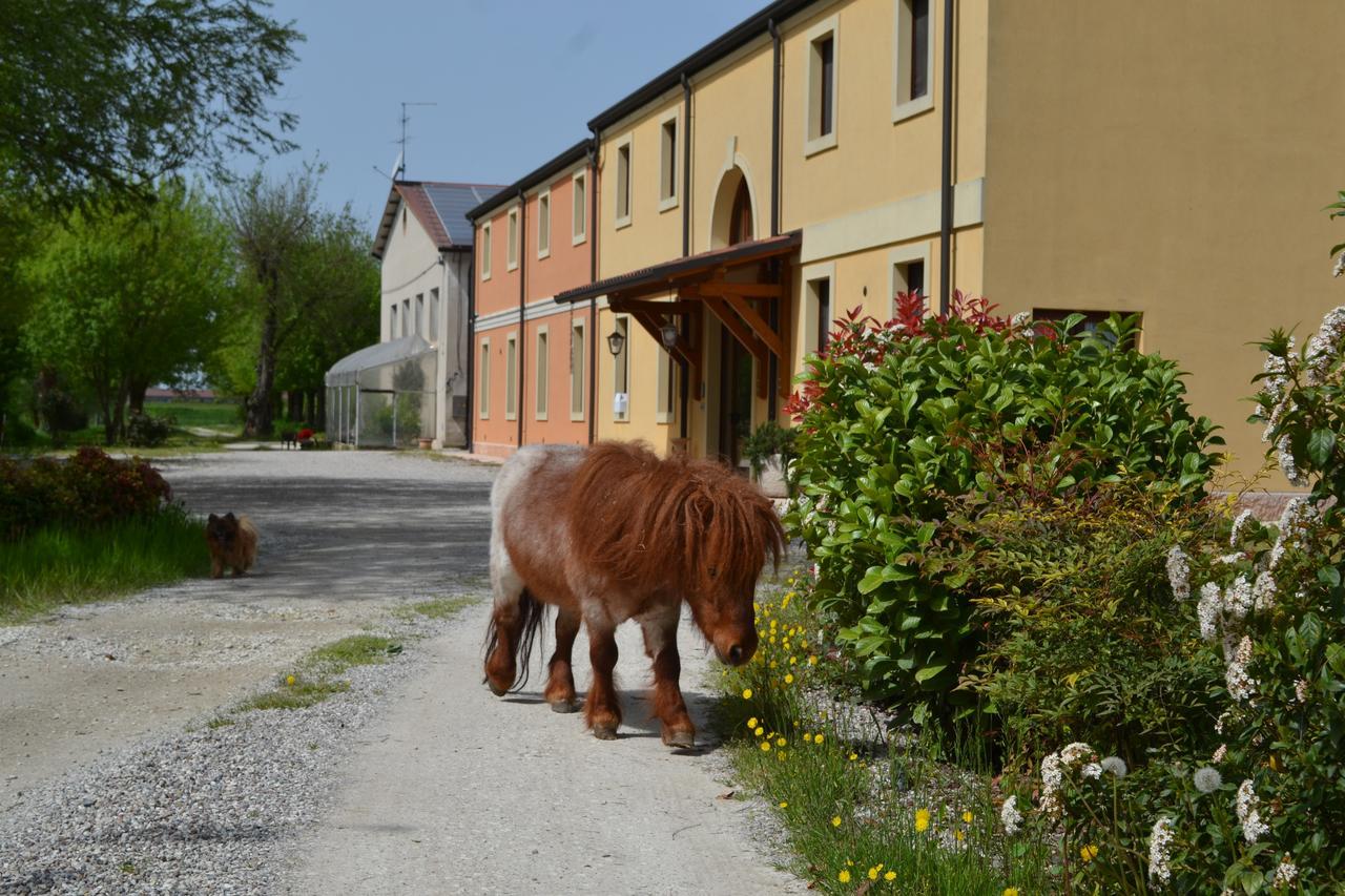 Agriturismo Otto Ducati D'Oro Isola della Scala Exterior photo